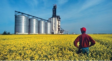 failed farmer viewing neighboring corporate farming facility