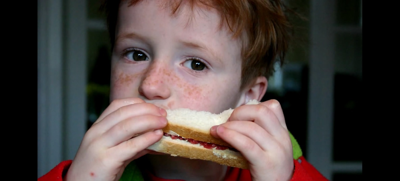 image little boy eating a sandwich