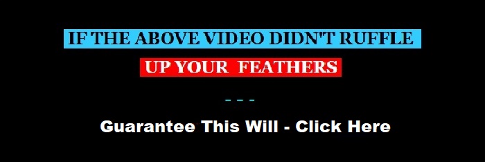 image ruffle up your fethers